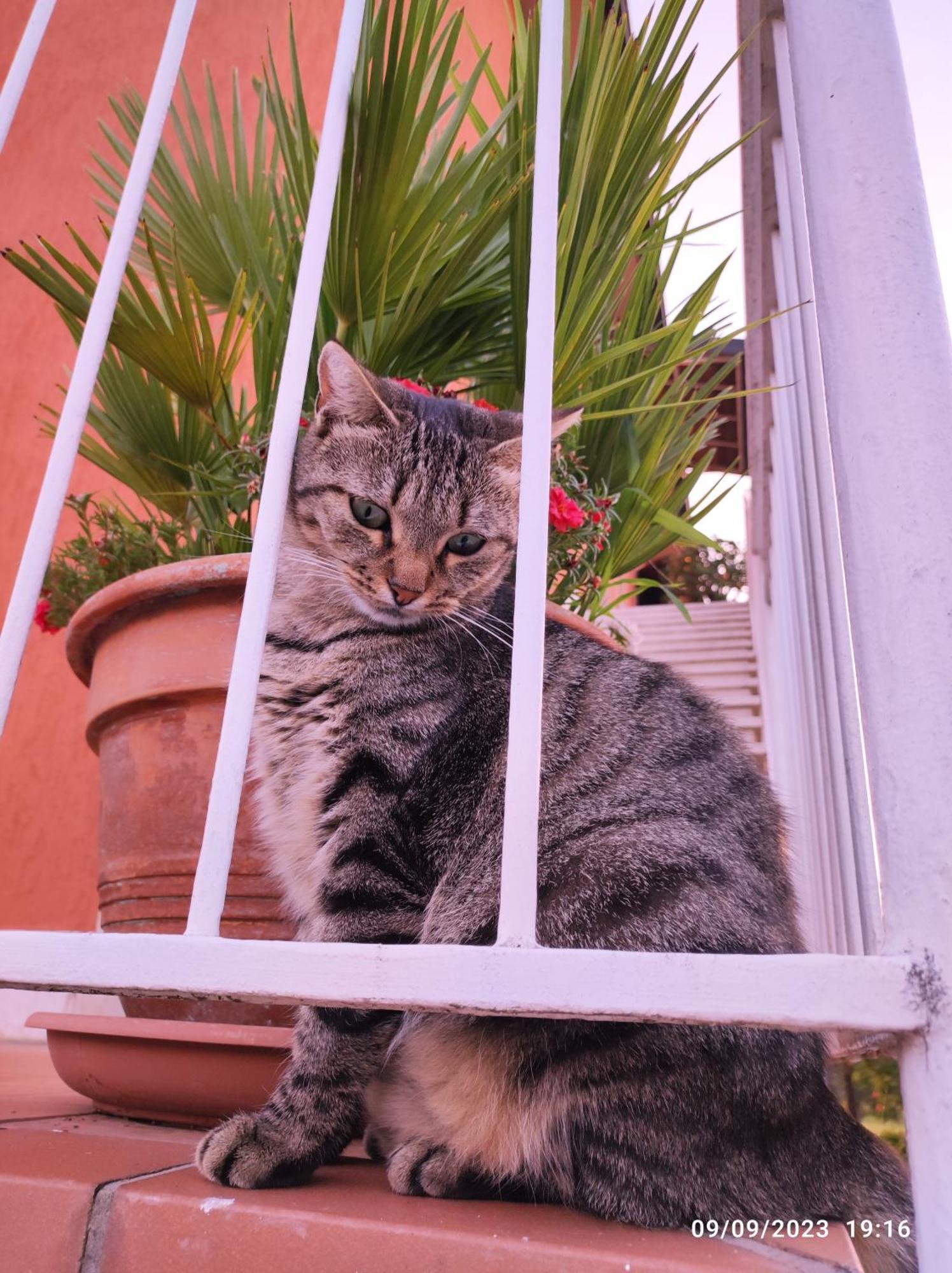 Casapatrizia B&B Sirmione Buitenkant foto